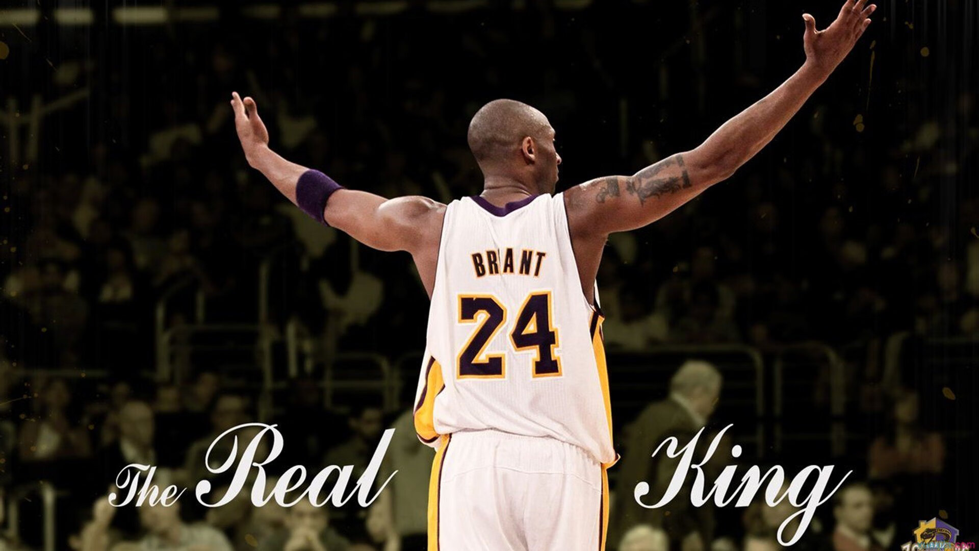 “帕布罗·马特拉的强大影响力,提升阿根廷美洲狮队的世界地位”